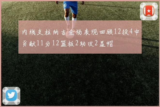 内线支柱纳吉全场表现回顾12投4中贡献11分12篮板2助攻2盖帽
