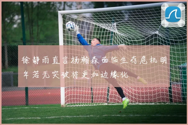 徐静雨直言杨瀚森面临生存危机明年若无突破将更加边缘化