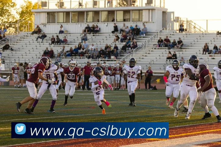 中超买球官网发展历程